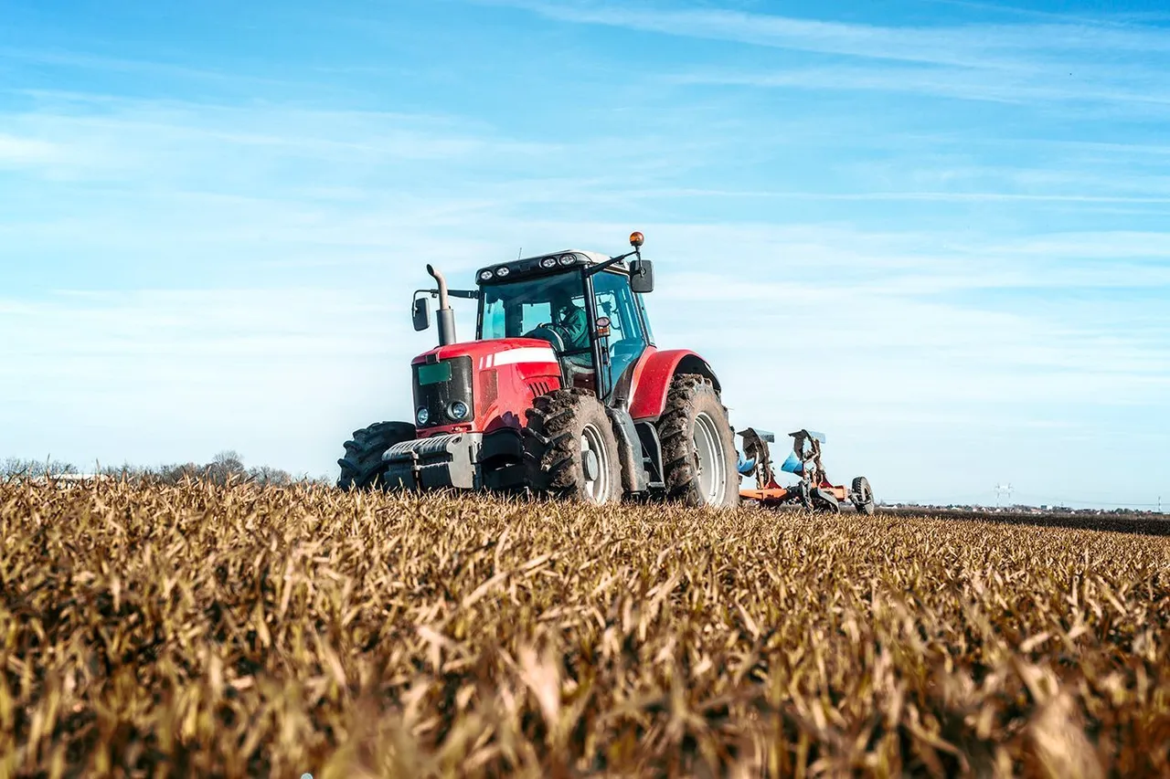 Foto 1 de 1: PRUEBA - Tractor agrícola