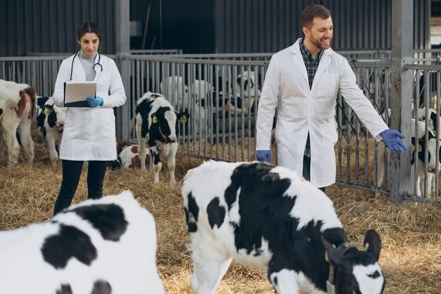 Foto 1 de 1: PRUEBA - Servicio veterinario para ganado bovino